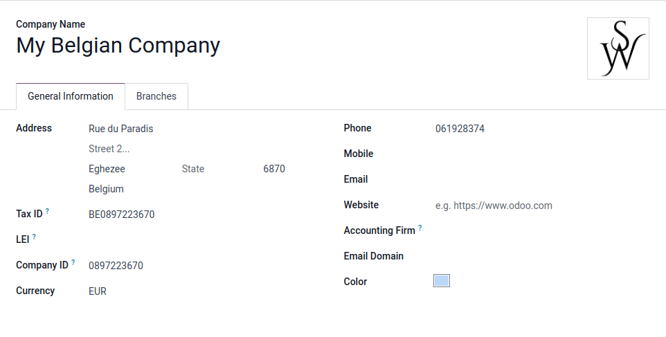 Overview of a new company's form in LeanSoft.